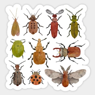 Vintage insects Sticker